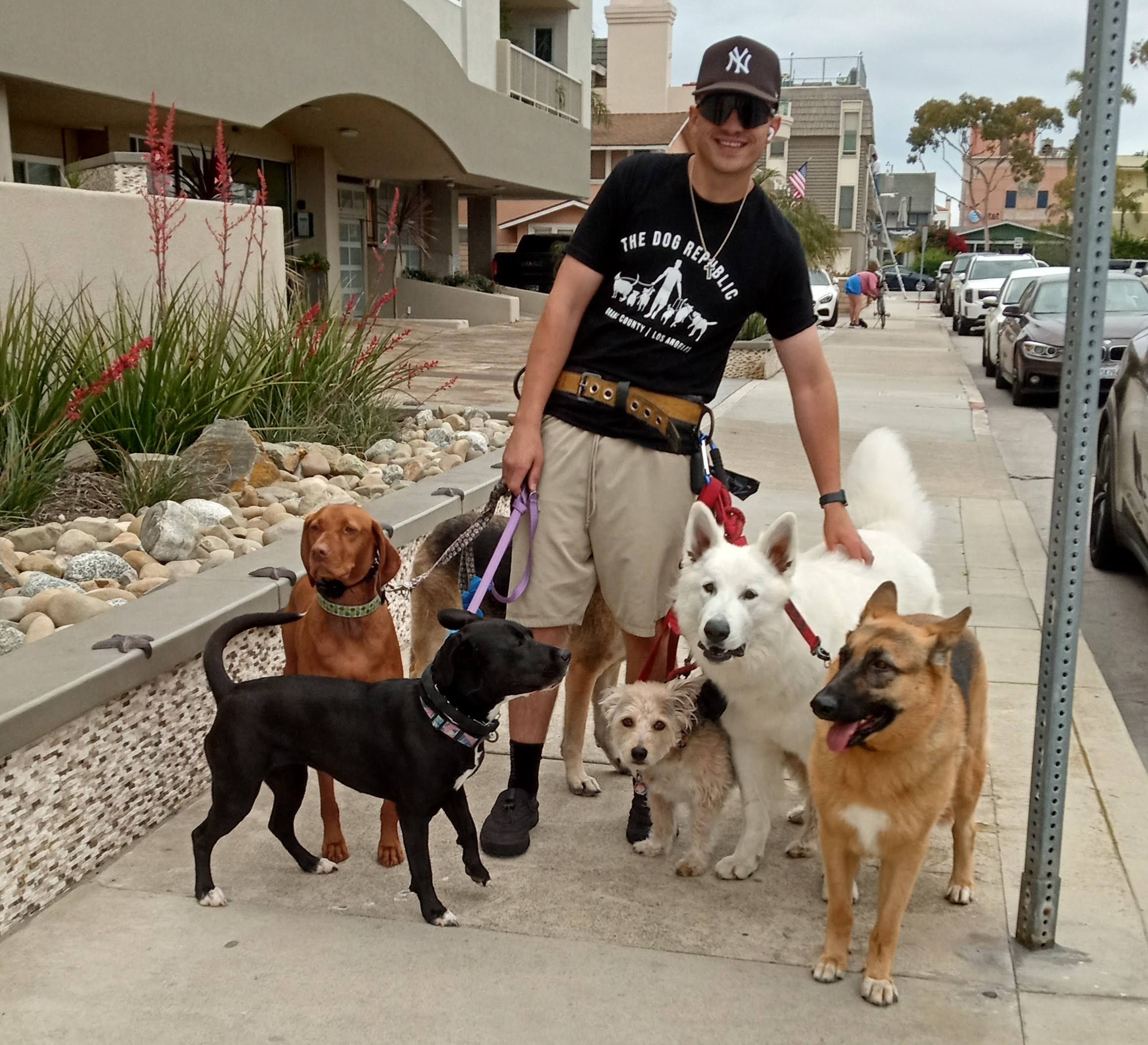 Balboa dogwalker