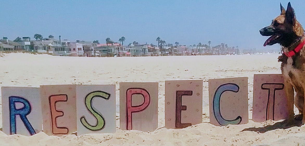 german shepard at river jetty newport beach ca summer 2019